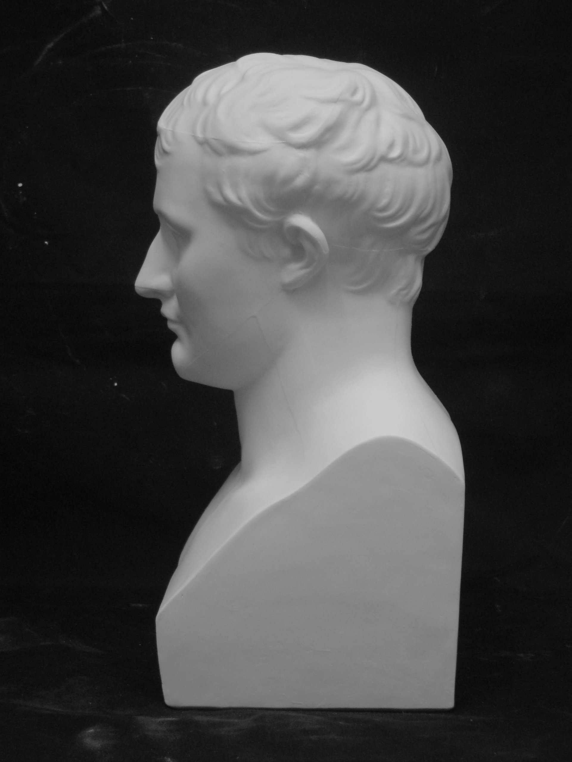 ナポレオン バスト像 陶器製 Amazon.co.jp: ナポレオン胸像 フランス皇帝 ナポレオン